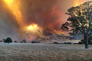 ऑस्ट्रेलिया के जंगल में आग से 16 मरे