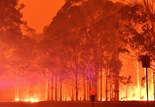 Australia Fire forest