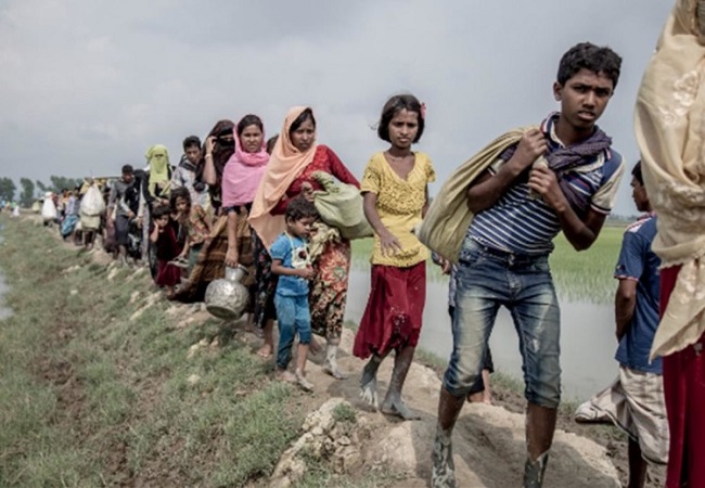 rohingya refugee