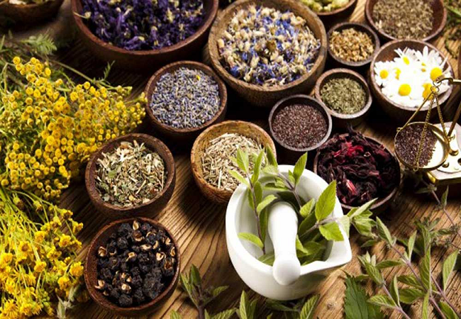 Herbal Medicine Ayurveda