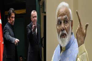 कश्मीर पर तुर्की के बयान का भारत ने दिया कड़ा जवाब, पाकिस्तान को भी लगाई फटकार