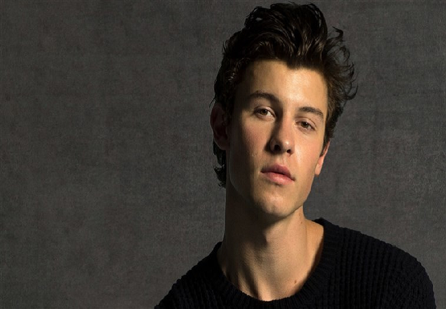 shawn mendes 2