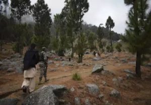 पाकिस्तानी आतंकियों पर कोरोना का कहर, पीओके के आतंकी कैंपों में कोहराम