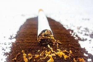तंबाकू से कमजोर हुए फेफड़े को कोरोना का ज्यादा खतरा : विशेषज्ञ