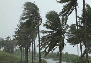 चक्रवाती तूफान एम्फन : केरल के 13 जिलों में येलो अलर्ट जारी