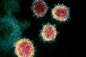 17 साल पहले वैज्ञानिकों ने जिस म्यूटेशन को ढूंढ़ा था उसकी वजह से आज कमजोर पड़ रहा है कोरोनावायरस!