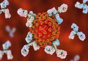 कोरोना संक्रमण को रोकने वाली इस नई एंटीबॉडी को आखिर इस देश ने खोज निकाला, अब होगा वायरस से बचाव आसान
