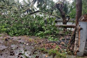 महाराष्ट्र में चक्रवाती तूफान निसर्ग ने ली 4 लोगों की जान