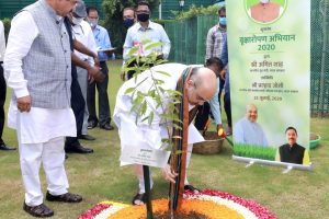 गृहमंत्री अमित शाह ने किया ‘वृक्षारोपण अभियान 2020’ का शुभारंभ, देखें तस्वीरों में