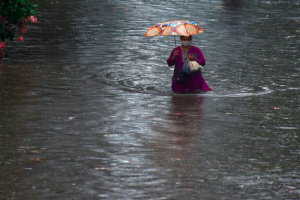 महाराष्ट्र में भारी बारिश, आईएमडी ने जारी किया हाई अलर्ट