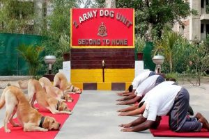जानिए आखिर मन की बात में पीएम मोदी ने क्यों किया भारतीय सेना के Dogs सोफी और विदा का जिक्र