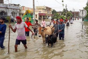 बिहार में बाढ़ : 14 जिलों में प्रकोप, लगभग 50 लाख आबादी प्रभावित