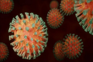 हैदराबाद में सीवर के पानी में मिला कोरोनावायरस आखिर कितना घातक है? जानिए वैज्ञानिकों की राय