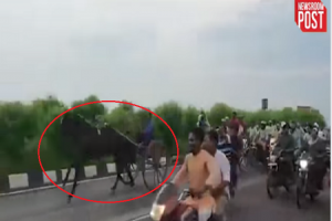 दादरी बाईपास पर घोड़ों औैर बाइकर्स की दौड़ ने मचाया हडक़ंप, वीडियो वायरल