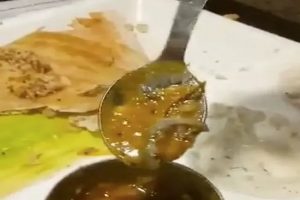 दिल्ली के नामी दक्षिण भारतीय रेस्तरां में सांभर में मरी हुई छिपकली मिली, मामला दर्ज