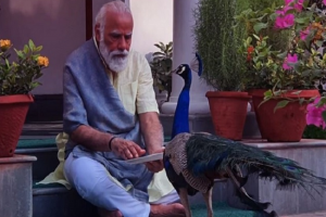 पीएम मोदी का दिखा मोर प्रेम, दाना खिलाने का वीडियो हुआ वायरल