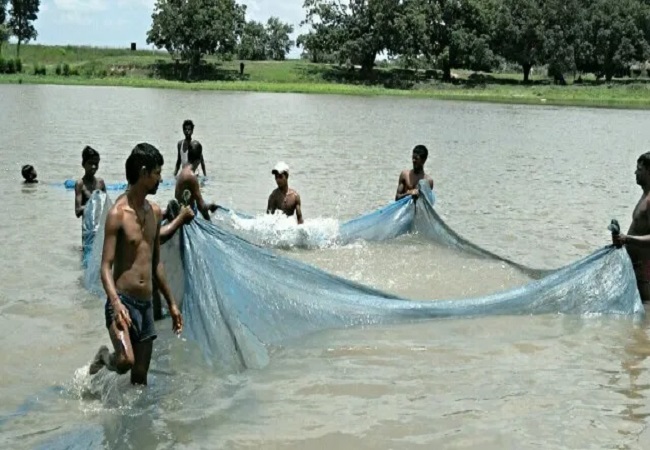 Machhali Palan Fish pic