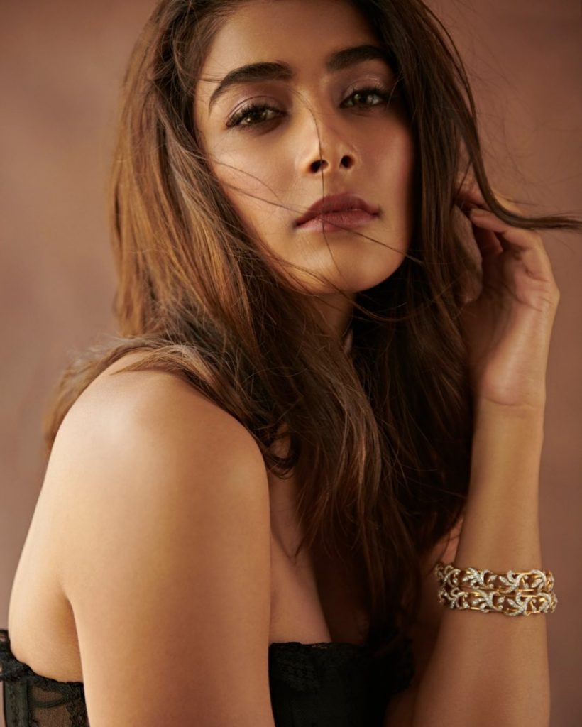 pooja hedge