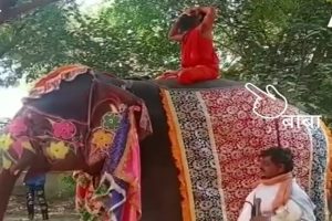 हाथी पर योग आसन करना बाबा रामदेव को पड़ा मंहगा, नीचे गिरे, वीडियो वायरल