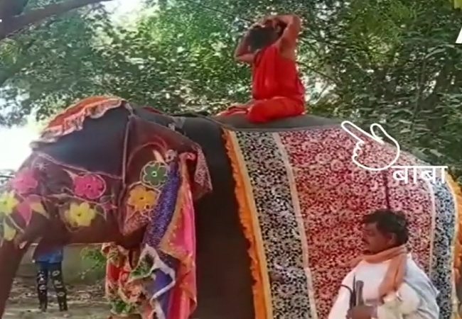 हाथी पर योग आसन करना बाबा रामदेव को पड़ा मंहगा, नीचे गिरे, वीडियो वायरल