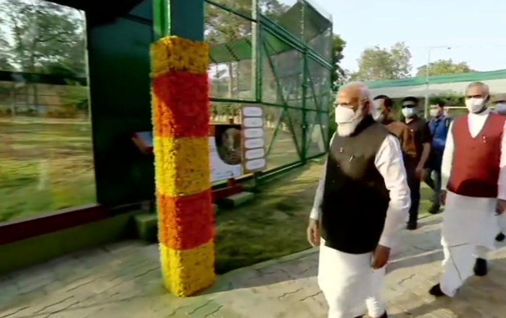 modi