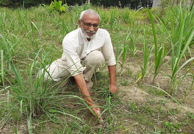 Bharat bhushan tyagi farming