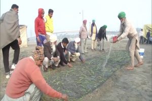 प्रदर्शन कर रहे किसानों ने लगाई बुराड़ी ग्राउंड में प्याज, कहा- ‘मोदी जी नहीं माने तो यहां उगा देंगे फसल’