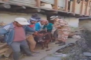 Uttarakhand: बीमार गाय का पता लगते ही ITBP के जवानों ने किया कुछ ऐसा, सब करने लगे सैल्यूट…