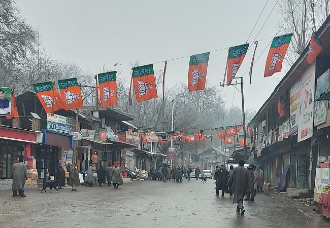 Kashmir BJP rally flag