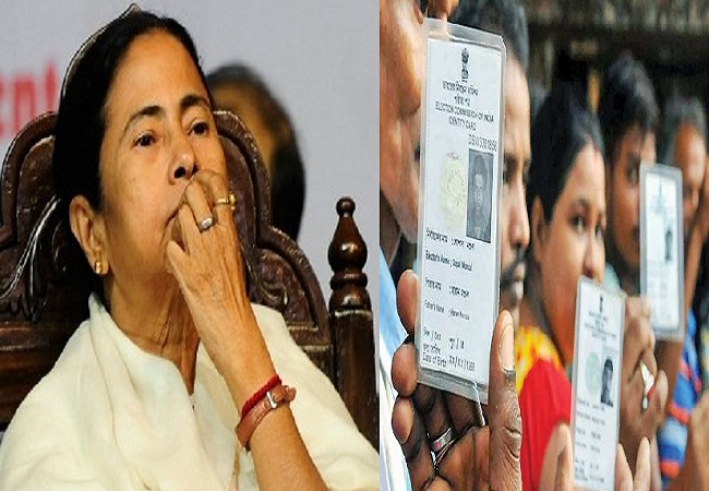 Mamata Banerjee Voter