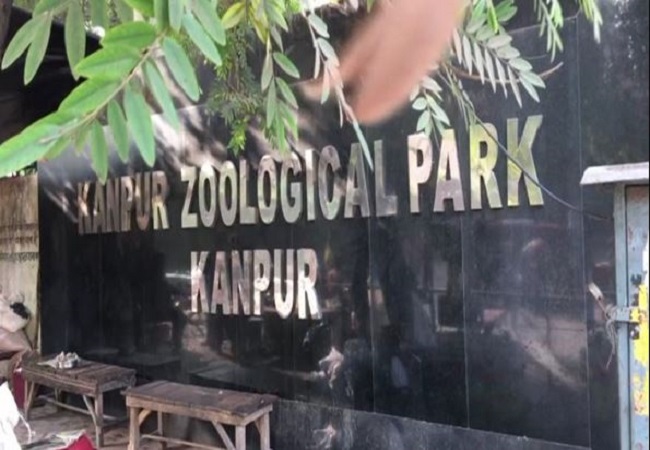 kanpur zoo