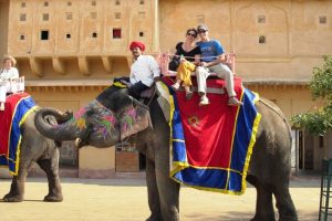 Jaipur : आमेर के 20 हाथियों पर सवारी प्रतिबंधित, महावत हाईकोर्ट जाने को तैयार