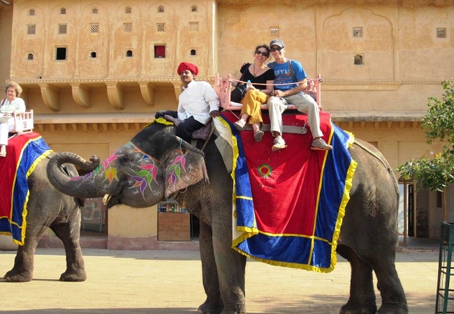AMER FORT INDIAN ELEPHANT