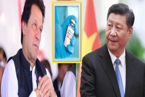 पाकिस्तान को ही नहीं भरोसा चीन के कोरोना वैक्सीन पर, कहा 60 पार लोगों पर असरदार नहीं है चीनी टीका