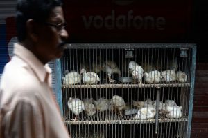 Haryana: अब मंगलवार को Gurugram में नहीं खुलेंगी मीट की दुकानें, निगम की बैठक में लिया गया बड़ा फैसला