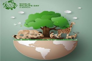 World Wildlife Day 2021: यहां जानिए आखिर क्यों मनाया जाता है विश्व वन्यजीव दिवस
