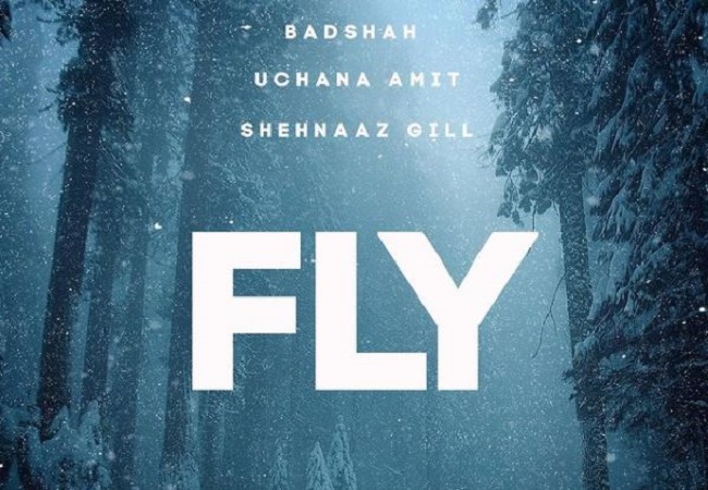 fly2