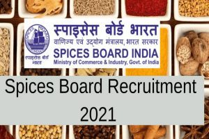 Spices Board Recruitment 2021: स्पाइसेस बोर्ड ने निकाली 12 पदों की भर्ती, यहां पढ़ें पूरी जानकारी