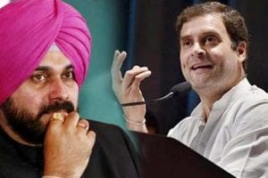 अब क्या होगा कांग्रेस में नवजोत सिंह सिद्धू का भविष्य, पार्टी आलाकमान मिलने को तैयार नहीं, राहुल भी बोले कोई बैठक तय नहीं