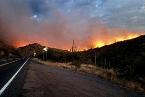 Arizona Fire: एरिजोना में दो विशाल जंगल में लगी आग से हुए सैकड़ों लोग विस्थापित