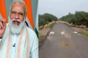 PM मोदी ने शेयर किया मजेदार Video, सड़क पार करते हुए दिख रहे “3000 से अधिक ब्लैकबक्स”