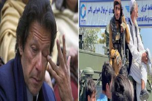 Jolt to Pak: तालिबान ने जम्मू-कश्मीर के बारे में कही ऐसी बात, सुनकर सिर पीट लेगा पाक