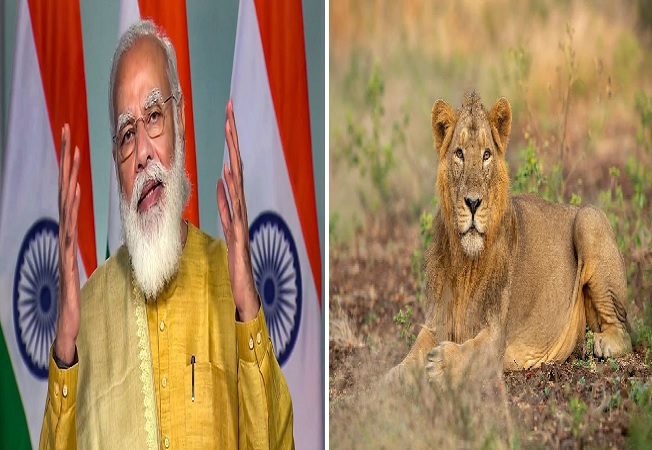 PM Modi on lion Day