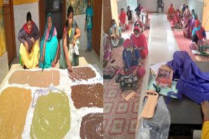 UP : छोटे-छोटे उद्योग लगाकर गांव को आर्थिक मजबूती दे रहीं समूह की महिलाएं, SVEP प्रोग्राम से लाभान्वित हुईं 11454 महिलाएं