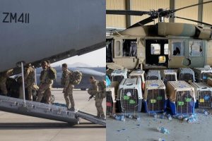 Kabul: अमेरिकी सेना को अपने कुत्तों तक की चिंता नहीं, अफगानिस्तान छोड़ा तो इन्हें भी छोड़ गए