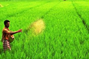 PMKisan In Bihar: बिहार में पीएम किसान सम्मान निधि में बड़ी गड़बड़ी!, 81000 अपात्रों ने 81 करोड़ रुपए ले लिए, वसूली के आदेश