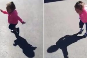 Viral Video: अपनी परछाई से डर कर भागने लगी बच्ची, मासूम बच्ची का ये वीडियो देख छूट जाएगी हंसी