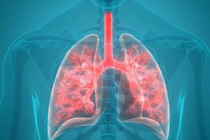 Lungs Healthy: दिवाली के बाद जहरीली हुई देश की हवा, फेफड़ों का ख्याल रखना बेहद जरूरी