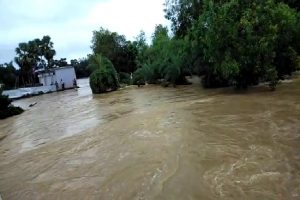 Odisha Rain: भारी बारिश के कारण 4 की मौत, 1 लापता