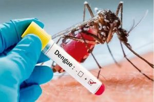 Dengue: दिल्ली में बढ़ रहा डेंगू का खतरा, राजधानी में अभी तक 480 केस आए सामने